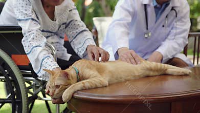 Pet therapy for the elderly . Pets make patients healthier and happier