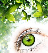 Green Vision