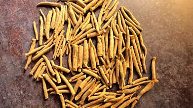 Dried Indian ginseng roots