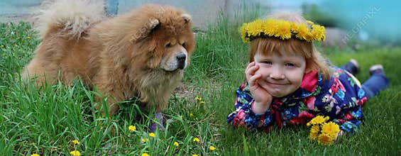 Cheerful red-haired girl with dandelions and a red dog are happy together