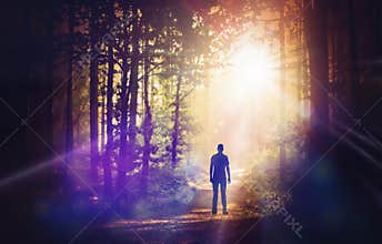 Man silhouette walking up path towards the sun light magic forest
