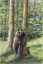 Bear with cubs