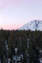 Mesmerizing scenery of Denali State Park, Alaska