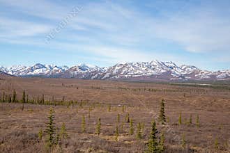 Mesmerizing scenery of Denali National Park, Alaska