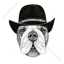 Bulldog dog head hand drawn illustration. Wild animal wearing cowboy hat Wild west