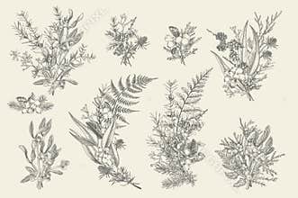 Forest bouquets. Floral arrangements