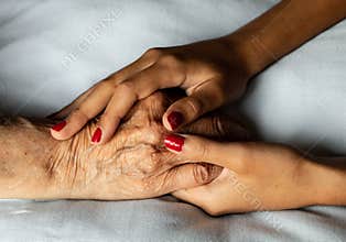 The hands of a young girl caress the wrinkled hand of her grandmother