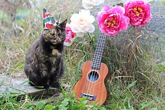 Cat with Ukulele and Peonies