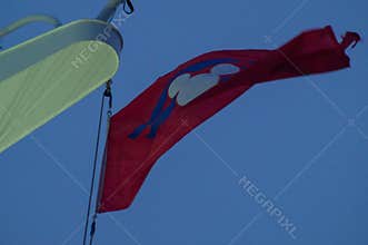 Disney cruise line flag