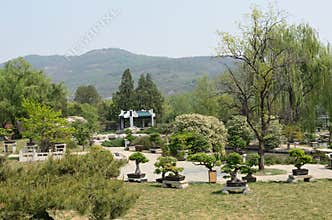 Botanical Garden