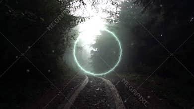 An atmospheric fantasy concept. Of a glowing alien portal in a spooky forest. On a foggy winters day