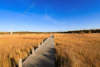 Footbridge across the wetland at autumn