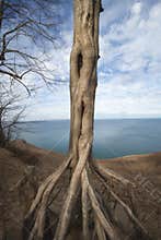 December on Lake Michigan at Sleeping Bear Dunes National Lakeshore