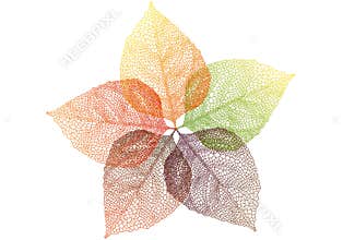 Autumn leaves, vector