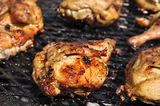 BBQ Chicken on Grill