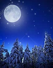 Winter night