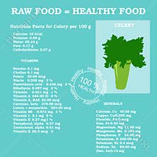 Healthy lifestyle infographic - vitamins in tomato, carrot,corn, cucumber and vegetables. Vegetarian and diet vector concept.