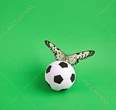 Close-up soccer ball with butterfly in a grass field. Butterfly is the Idea of Leuconoy.