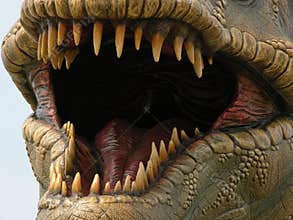 Dinosaur Tyrannosaur