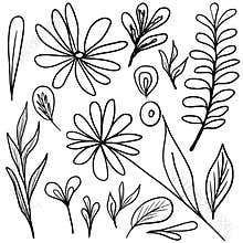 Doodle illustration collection with various flowers, leaves and butterflies. Floral scribble set
