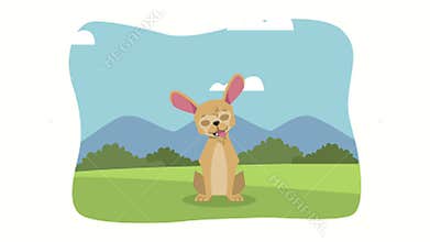 dog mascot in the camp animation