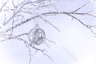 Silver & Clear Christmas Ornament on Branch
