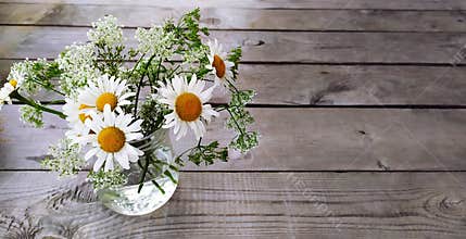 Floral wood background. Banner with a bouquet of daisies in a vase and place for text. Beautiful wildflowers sunny flowers on a