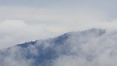 Mist flowing through the mountain valley at Chiang Kam Mountain, Chiangmai, Thailand