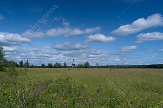 Wooden Orthodox chapel in a field, Solovetsky Islands