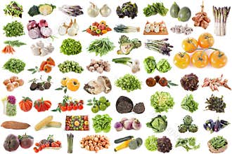 Group of vegetables