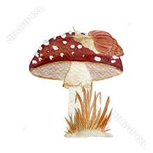 Fly agaric red wild mushroom and a snail textured watercolor composition isolated on white. Stylized autumn forest hand