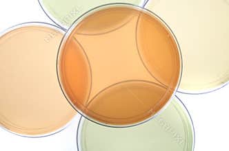 Petri dishes for medical resea