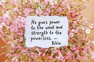 Christian biblical lettering - He gives power to the weak - card inside a bouquet of little pink flowers