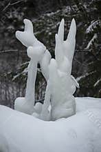 Ice sculpture made by nature, close up