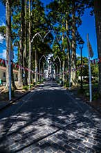 A view down an avenue of trees towards the Church of Saint Nicholas on the island of San Miguel in the Azores