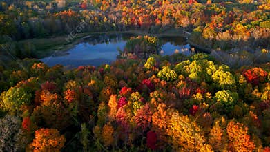 Aerial view of colorful autumn trees in Maybury state park in Michigan