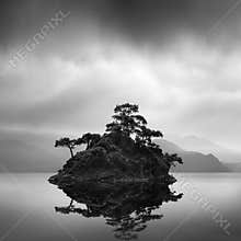 The Island