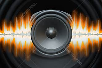Speaker Sound Waves