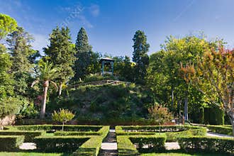autumn, park, nature, trees, view, landscape, scenery, plants, a
