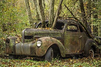 Nature growing up through an old abandoned car