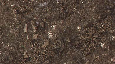 golden Pyrite crystals in close-up