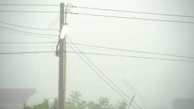 Streetlight poles with light bulbs installed on them.