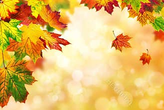 Autumn bokeh background bordered with leaves