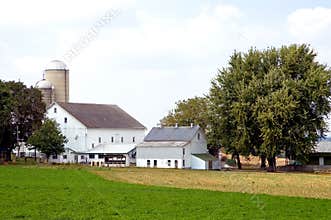 Barns and silos on farm