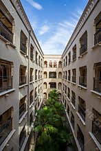 Palm trees planted in apartment courtyard