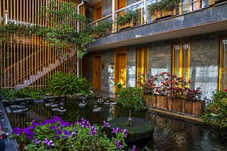 House with garden, plants and small pond indoor