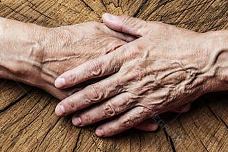 Old elderly hands and old tree