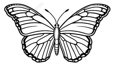 Drawing for children's coloring book cute butterfly. Illustration winter line on white background