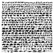 Animal silhouettes