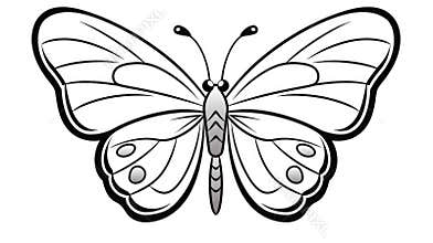 Drawing for children's coloring book cute butterfly. Illustration winter line on white background